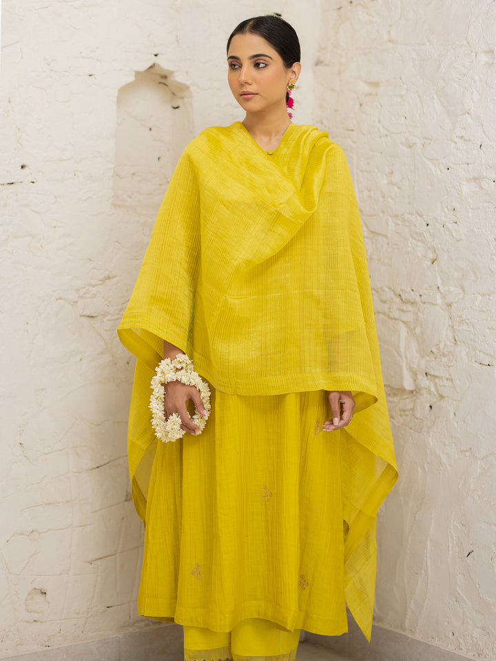 Savani Kurta Set